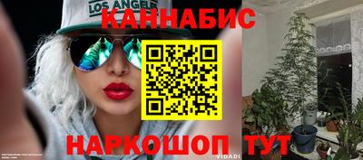 индика Изобильный