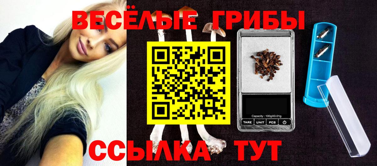 Псилоцибиновые грибы прущие грибы Энгельс